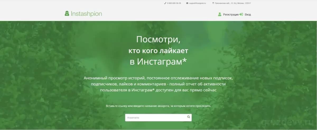 Как посмотреть гостей в Инстаграме?